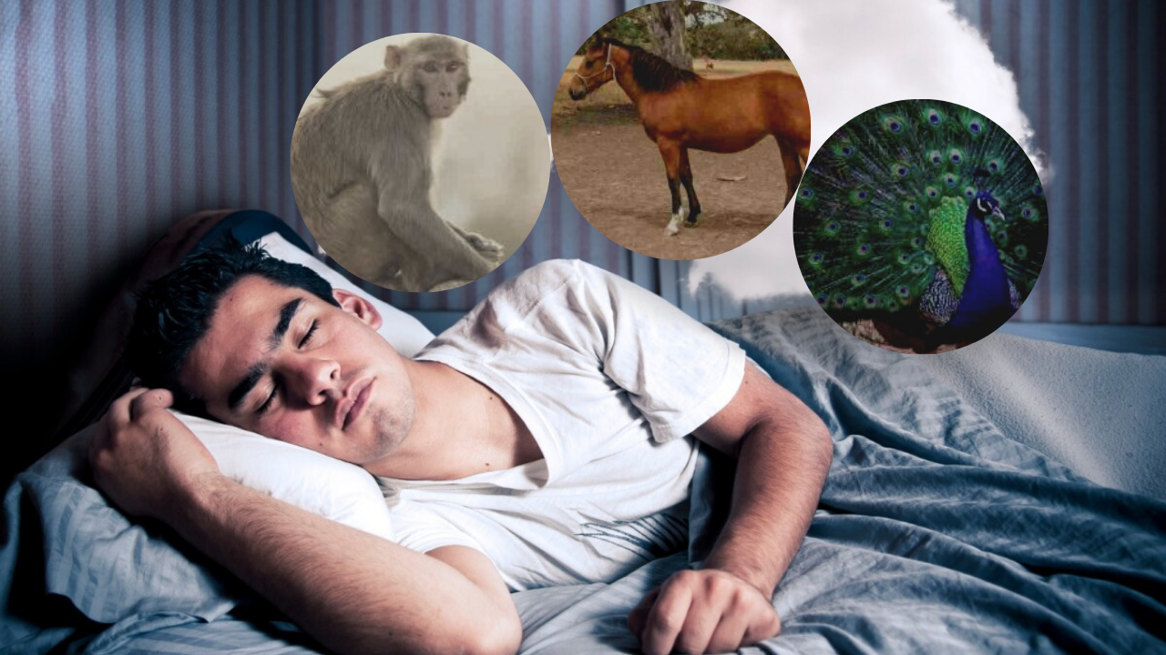 இந்த விலங்குகள் உங்கள் கனவில் வந்தா என்னென்ன பலன்கள் தெரியுமா?