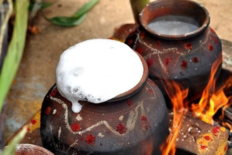 பொங்கல் எந்த திசையில் பொங்கினால் நல்லது தெரியுமா?