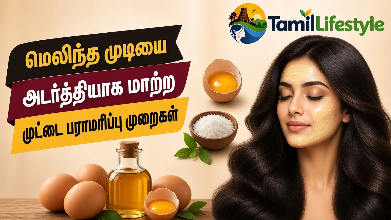 மெலிந்த முடியை அடர்த்தியாக மாற்ற முட்டை பராமரிப்பு முறைகள்