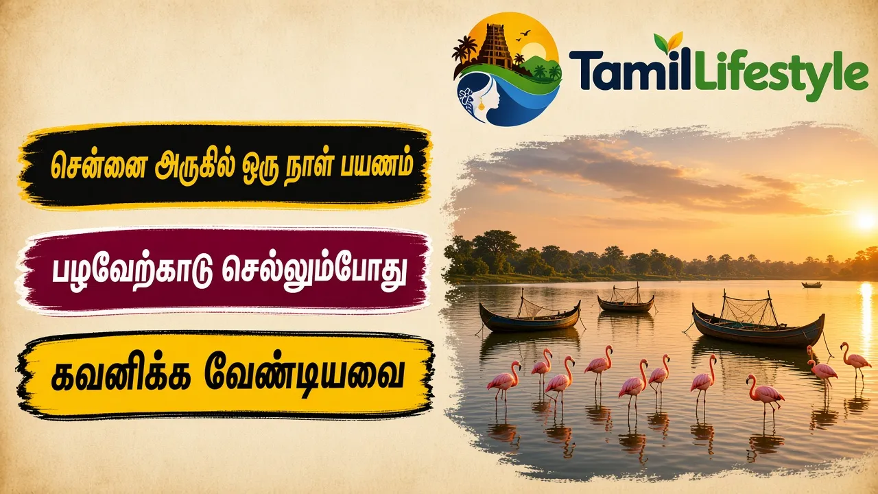 சென்னை அருகில் ஒரு நாள் பயணம்: பழவேற்காடு செல்லும் போது கவனிக்க வேண்டியவை
