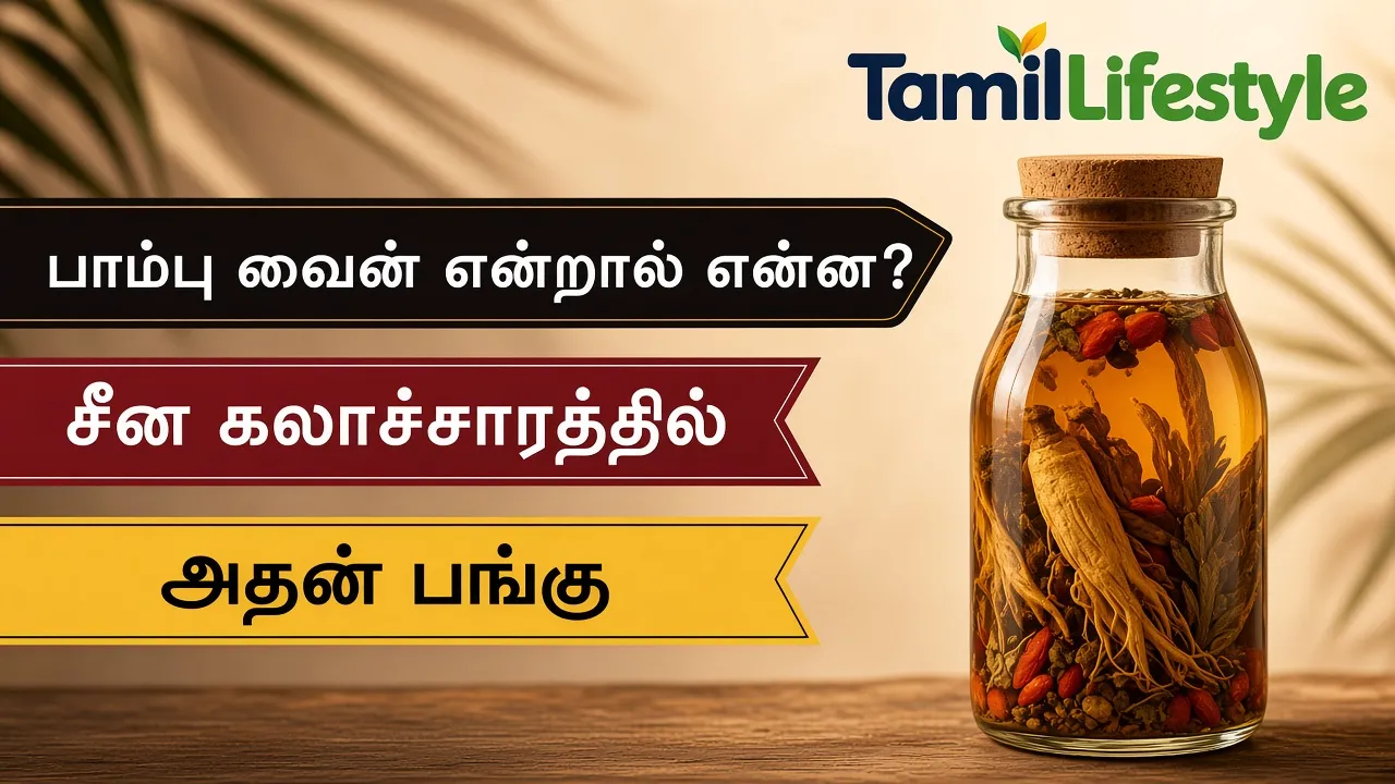 பாம்பு வைன் என்றால் என்ன? சீன கலாச்சாரத்தில் அதன் பங்கு