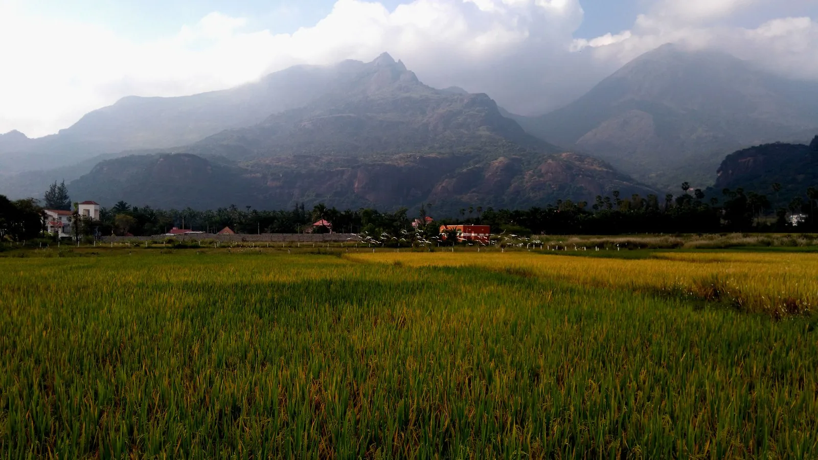 தமிழ் வரலாறு பகுதி 9: சங்க காலச் சமூகம் – ஐந்திணை நிலங்கள், பொருளாதாரம், அன்றாட வாழ்க்கை