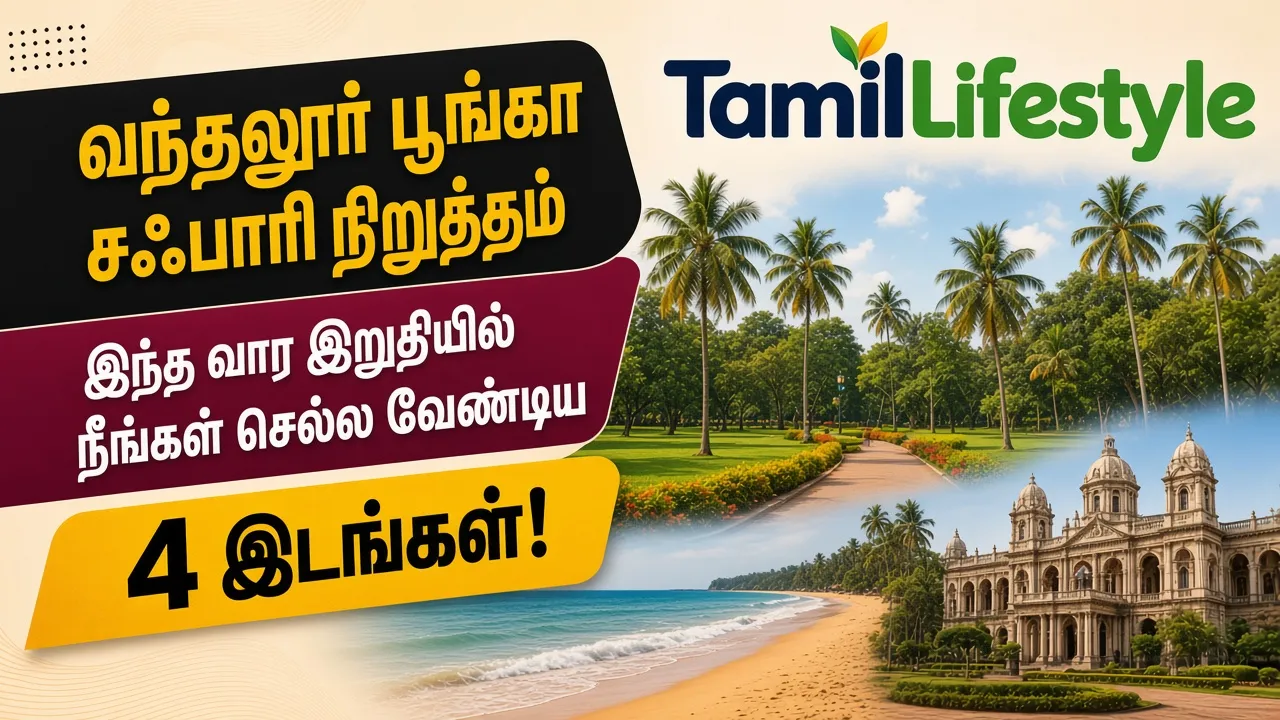 வந்தலூர் பூங்கா சஃபாரி நிறுத்தம்: இந்த வார இறுதியில் நீங்கள் செல்ல வேண்டிய 4 இடங்கள்!